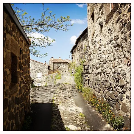 Pause Bien-etre & Nature Dans La Du Moine 4* Saint-Arcons-d'Allier