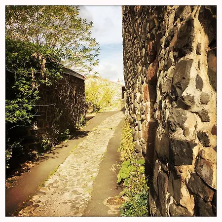 Pause Bien-etre & Nature Dans La Du Moine Saint-Arcons-d'Allier