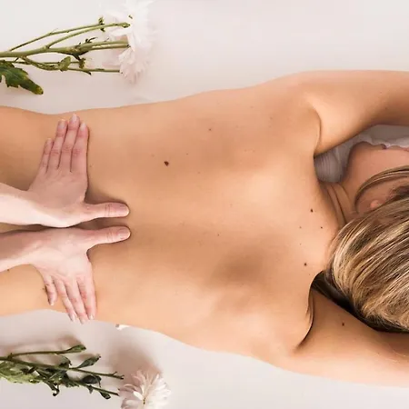 Pause Bien-etre & Nature Dans La Du Moine 4* Saint-Arcons-d'Allier