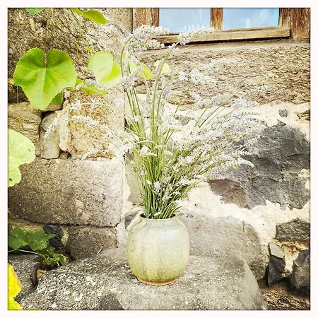 Pause Bien-etre & Nature Dans La Du Moine Saint-Arcons-d'Allier