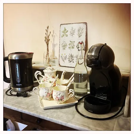 Pause Bien-etre & Nature Dans La Du Moine Saint-Arcons-d'Allier